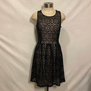 Enfocus Studio lace black and beige knee high dress